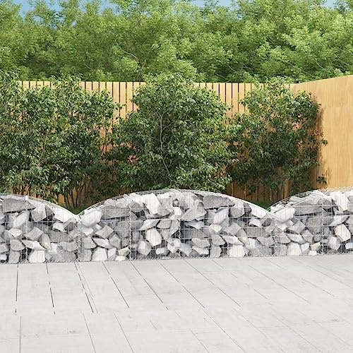 CKioict Gewächshaus Balkon Pflanzbeet Balkonkästen Gabione mit Hochbogen 200x50x40/60 cm Verzinktes Eisenfür Blumen, Obst, Gemüse