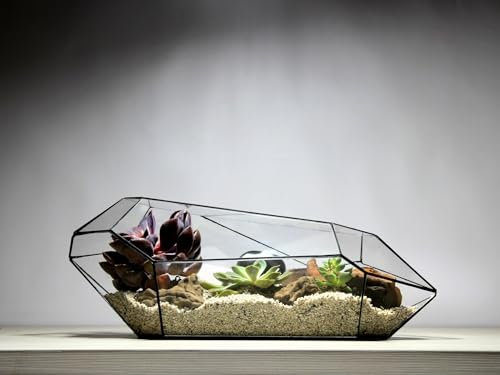 Terrario Geométrico - Nano Planter - Vivarium - ↑ 47 x 21 x 17,5 cm (LxWxH) - Vidrio