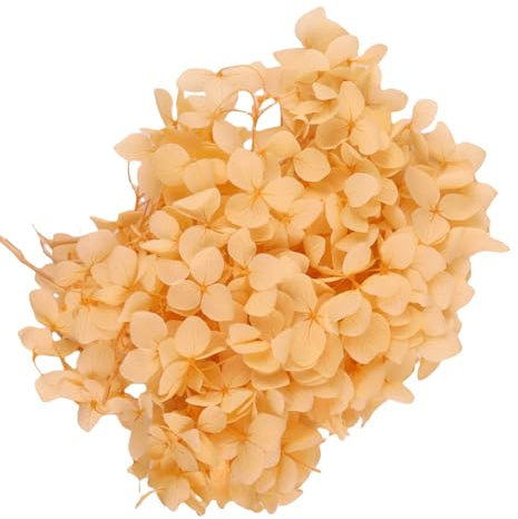 Gkhlg pack of 1 Dried Flower Hydrangea Natural Decorative for Cake Cupcake Decorating Craft Projects Dry Flowers for Decoration for Bakers Party Planners DIY Enthusiasts (Champagne)