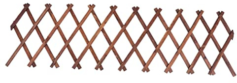 jojofuny Treillis Extensible Bois Carbonisé Support Mural pour Plantes Grimpantes Résistant Corrosion pour Jardin et Terrasse