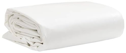 Generico Telone Bianco 1x2,5 m 650 g/m²,Articoli di ferramenta,Accessori ferramenta,Teloni di plastica-156196