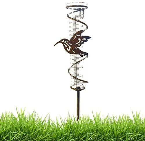 Pluviomètre extérieur en Verre, Pluviomètres en Verre avec Piquet en Métal, Jauge de pluie en verre pour colibri, Grande capacité, Facile à lire, Décoration de jardin Pour l'extérieur, la cour