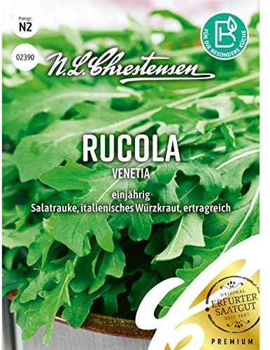 Rucola/Salatrauke Venetia