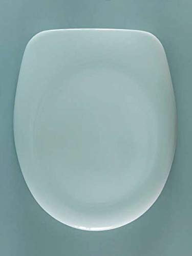 VIGOR GmbH WC-Sitz Vigor, Modell: Derby Basic, Edelstahlscharniere für Stand-WC, weiß alpin