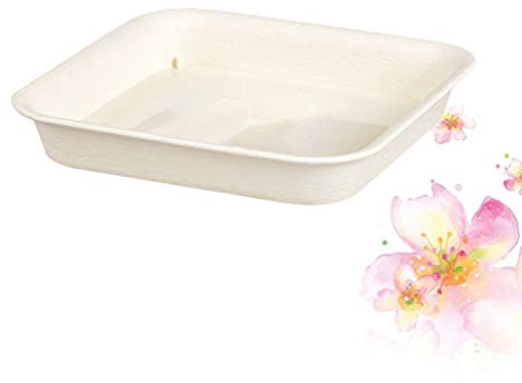 Cabilock Lot de 2 soucoupes, carrés, en plastique, pour plantes, soucoupes, pots de fleurs, bacs pour jardin, pot de fleurs, gouttes d'eau et de terre, beige L