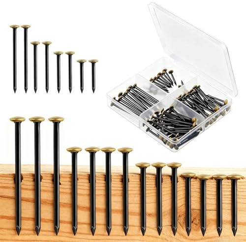 ASTRIgneous 145 Stück Bildernägel Set, 20/25/30/40mm Rostfreie Stahlnägel mit Goldfarbenem Kopf Kein Bohren Erforderlich mit Transparent 4 Fach Box für Betonwände Ziegelstein Putz Holz