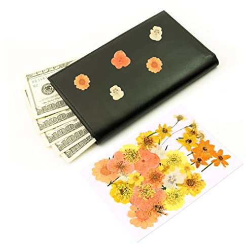 SEWOART 40 Stücke Farbechtes Blumenmaterial Tasche Lebendige Echte Blumen Für Grußkarten Bastelarbeiten