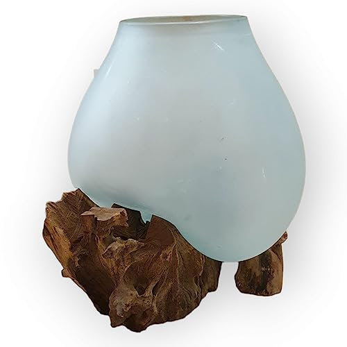 Kinaree Geschmolzenes milchiges Glas auf Wurzelholz - Glasschale auf Wurzel - Teak Holz mit Glasvase oder Schale als Terrarium