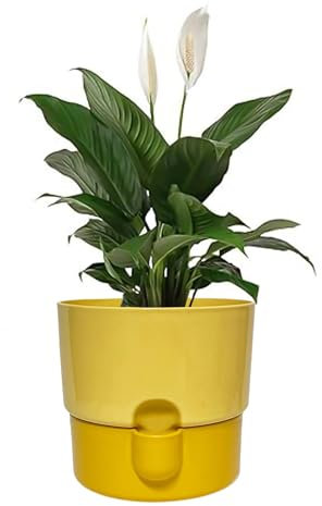 Sutars 16CM Self-Watering Indoor Plant Pot: Plastic Flower Planter (Yellow)