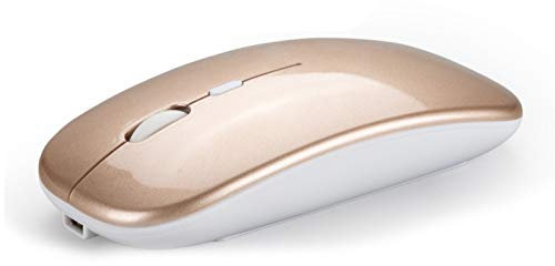 Souris sans fil Bluetooth 5.0 2,4 G avec USB rechargeable et silencieuse pour PC et ordinateur portable