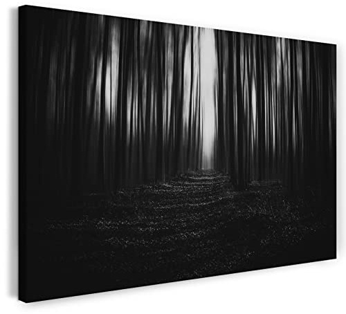 Printistico Impression sur toile (120x80 cm) Forêt sombre, nature d'automne sombre, noir et blanc, photo nature, cadre en bois véritable avec crochet,