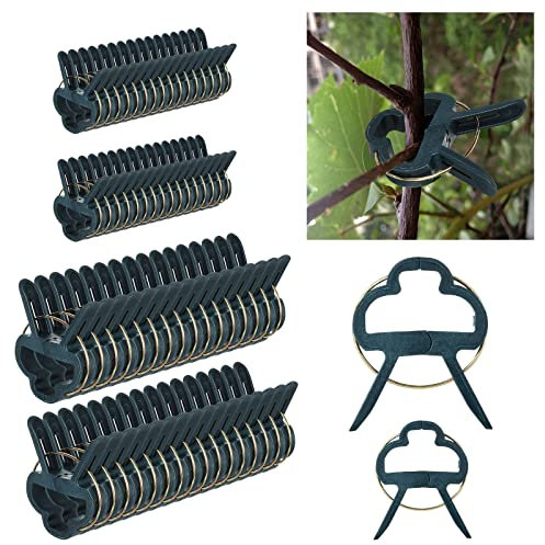 YOUNTHYE 200PCS Plant Clips, Large and Small Plant Support Clips Green Plant Clips for Climbing Plants, Garden Clips for Supporting Stems, Flower, Vegetables, Tomatoes (2 Sizes)