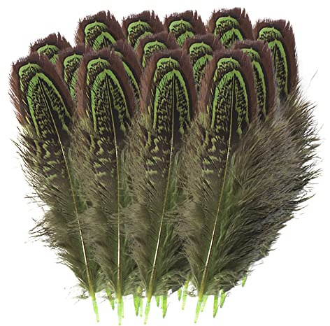BakerMiche Truthahn Federn, Natur Federn zum Basteln Deko Bastelfeder 5-8cm Länge Truthahn Schwanzfedern Hutfeder für Kostüme basteln Zuhause Dekor DIY