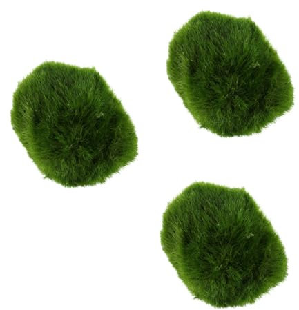 Biotope Aquatics Ltd - Live Marimo Moss Ball, Cladophora aegagropila, Aquarium Plant (3 x Mini Moss Balls)