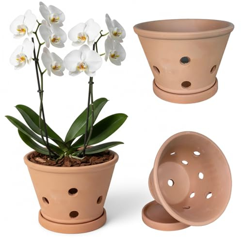 Bemonew Macetas de Arcilla para orquídeas con Agujeros y platillos para trasplantar para Interior y Exterior Que favorecen la circulación del Aire 15, 5 x 11, 4 cm