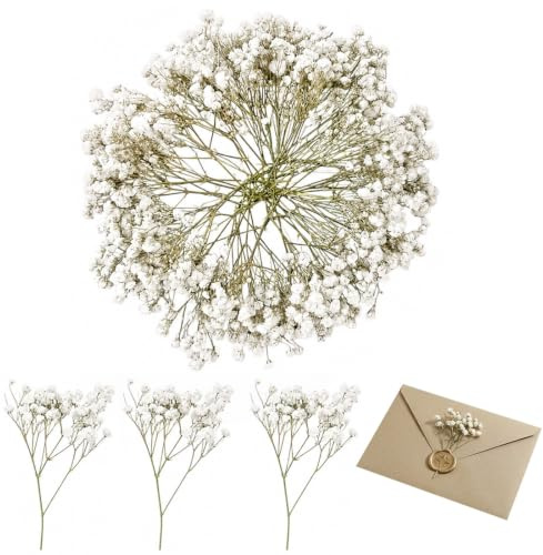 50 Ramos de Flores Secas de Gypsophila Paniculata, Flores Prensadas Secas para Manualidades y Decoración de Álbumes de Recortes, Ramo Natural para Cumpleaños y Bodas