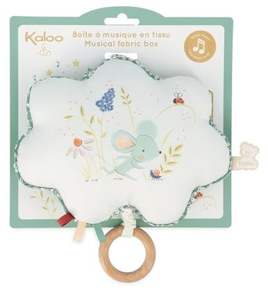 Kaloo - Petites Chansons - Spieldose aus Stoff und Holz - Musikalisches Kissen 15 cm - Kinderlied „Une Souris Verte“ - Spielkissen für Baby - Grün und Weiß - Ab Geburt, K210000