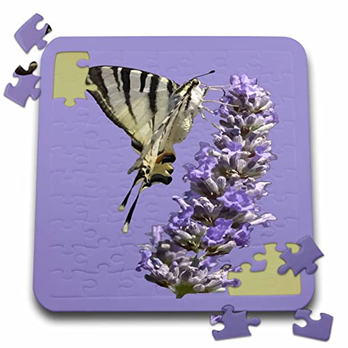 3dRose Side View of Scarce Swallowtail Butterfly Feeding On Lilac - Puzzles (pzl-370958-2)