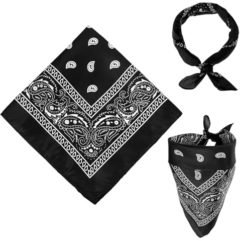GEEHUA 2 Stück Bandana Herren Damen, 55 x 55 cm Halstuch Paisley Muster Damen Und Herren, Herren Bandana Tuch Headwear Haar Schal Ansatz Kopf Halstuch für Biker Motorrad Herren