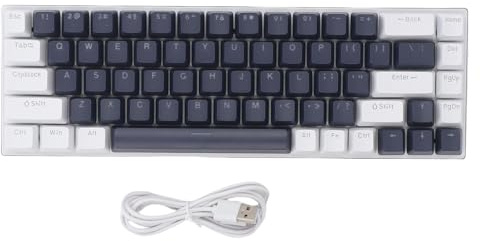 XUMIUZIY Clavier Mécanique, 68 Touches RVB Clavier de Jeu Filaire RVB avec Commutateur Bleu et Touchés à Double Couleur, pour PC Ordinateur Portable Winos MacOS (Bleu Blanc)