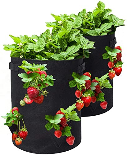 2023 New Upgrade Strawberry Grow Bags, 2 Pack 10 Gallon Strawberry Planter with 8 Side Grow Pockets, Breathable Strawberry Growing Bag for Strawberries grow, Garden, Herbs, Flowers