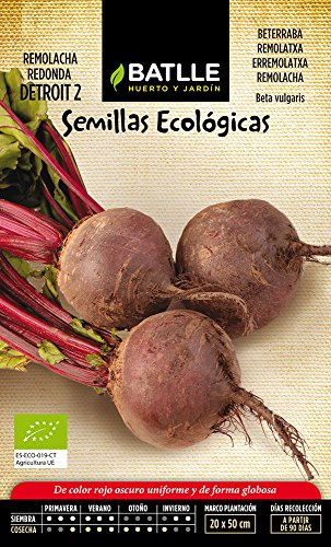 Semillas Batlle Remolacha Detroit 2 - ECO