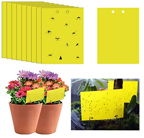 20 trampas adhesivas para moscas, 20 x 10 cm, pegatinas de papel amarillo para moscas, trampas para mosquitos de hongos, atrapamoscas adhesivas de doble cara para insectos contra mosquitos de hongos