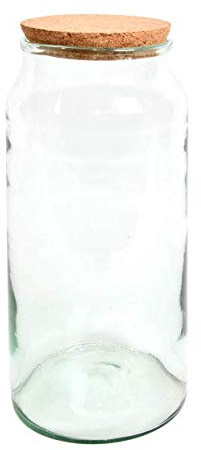 Pflanzen Terrarium aus Glas 10 L Deko Gewächshaus