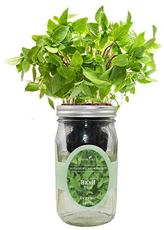 Environet Kit de culture hydroponique d'herbes aromatiques, pot Mason auto-arrosant, kit de démarrage pour l'intérieur, rebord de fenêtre, herbes aromatiques, cultiver vos propres herbes à partir de