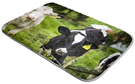 Alfombra de felpa ultra suave de piel sintética de becerro, vacas lecheras jóvenes, pasto verde