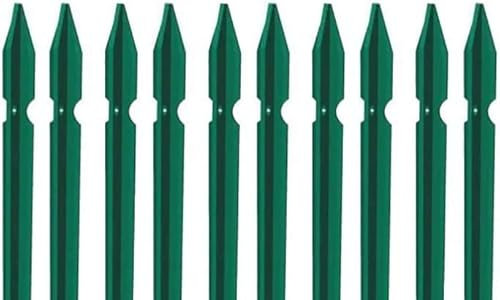 BUD - Pali paletti in ferro a T plastificati verde per rete recinzione metallica 10 PZ (T30 - H250 cm)