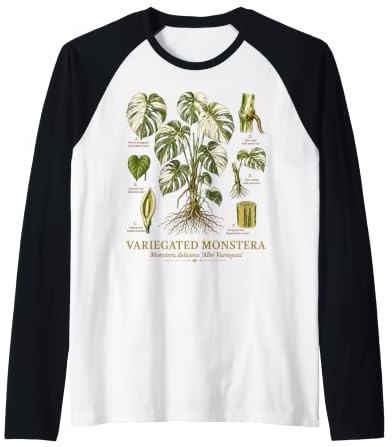 Variegated Monstera Albo Vintage Botanical Anatomy Study Raglan Baseball Tee