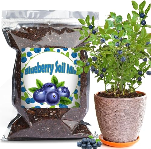 Bio-Heidelbeer-Erde Mischung 2L, Zimmerpflanzen-Blumenerde für alle getopften Heidelbeeren, Gesunde Zimmerpflanzen drinnen züchten