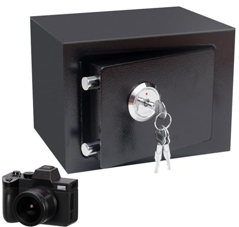 Coffre-fort sécurisé - Coffre-fort domestique Fireproof dans la cassette en acier - Documents de sécurité Safe For Money, coffre-fort robuste D