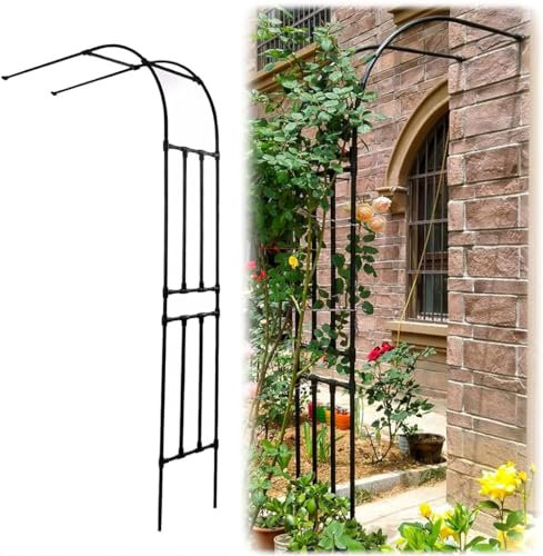 MISKYN Arche De Jardin Demi Rond, Demi-Arche en Métal, Arceau Jardin Arche A Rosiers De Style Fer Forgé, Tonnelle De Jardin Robuste, pour Plantes Grimpante,Noir,120 * 240cm