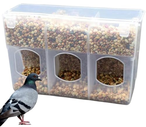Mangiatoia per piccioni, mangiatoia per quaglie a 3 fori con scomparto e stazione di alimentazione per alimenti sospesa con coperchio antipolvere per accessori per gabbie