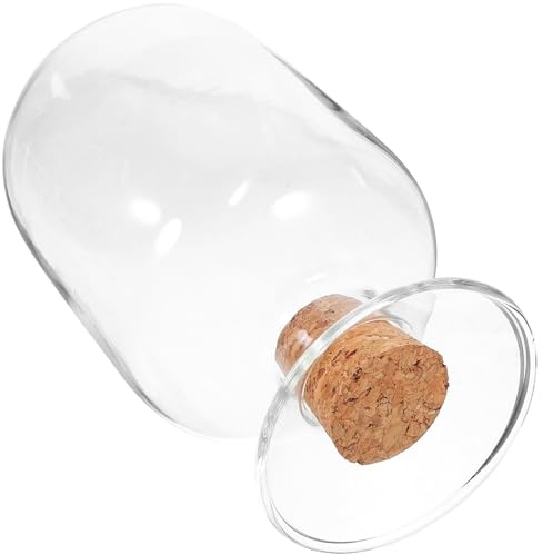 NOLITOY Porta Cerillas de Cristal Transparente 500Ml Tapa de Corcho, Soporte Multifuncional para Cerillas y Otros Objetos en Cocina y Estudio 1 Unidad