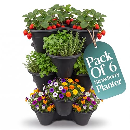 Klass Home Collection Stackable Strawberry Planter Tower Pack of 6, Vertical Garden Planters outdoor & Indoor for Balcony, Patio, Plant Pots for Flowers, Vegetables Herb Garden Planter (Black)