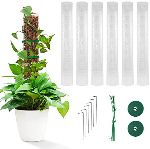 Moosstab für Monstera, Moosstab 6 Stück 24 Zoll Rankhilfe Monstera Kunststoff-Moosstangen Für Garten Kletterpflanzen Monstera Philodendron Creepers (6PCS)