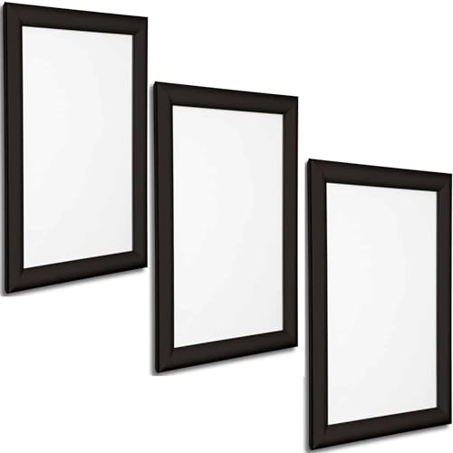 A5 A4 A3 A2 A1 A0 Aluminium Schnapprahmen Klickschild oder Posterhalter ideal als Menühalter und Zertifikate Display in 6 Größen (A5, Schwarz)