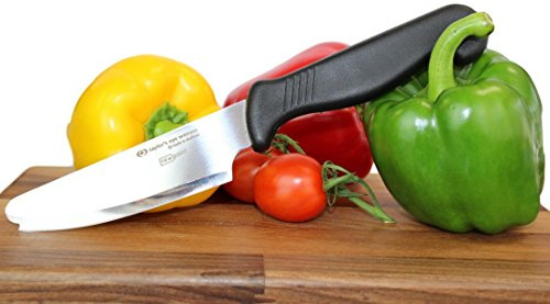 Taylors Eye Witness New Point Safe Cooks Chefs Knife - Professional Multi Purpose 10cm Cutting Edge. Unique Safety Rounded Protection with Small Utility Point. Razor Steel Blade. Fibre Grip Handle