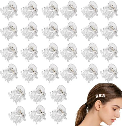 Esshogo 30 Stück kleine Haarspangen, Mini Haarklammern, Orchideen Clips | Kunststoff kleine haarklammern 1,5 cm, Haarspangen Haarschmuck für Mädchen und Frauen für Täglich Party Weihnachten Festival