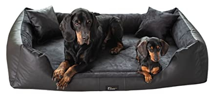 exclusive BED Orthopädisches Hundebett Eden Grosse Mittelgroße Kleine Hunde - Hundekissen Hundematte aus Öko-Leder + Alcantara-Stoff - Schmerzlindernd Abriebfest Reißfest (XL, Schwarz)
