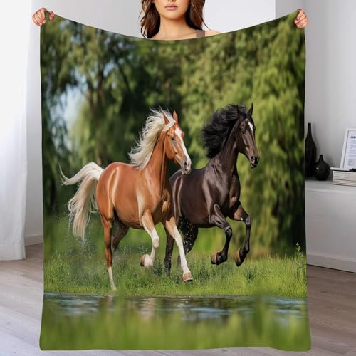 Grasland Pferde Decke Kuscheldecke Flanell Kinder Kuscheldecke Für Mädchen, Weiche Wohndecke Geburtstag Geschenke Sofa Couch Wohn Bett Fleecedecke (Grüne Landschaft, 75X100Cm)
