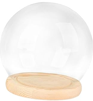 Baoblaze Display-Kuppel mit Holzsockel, Glas-Cloche-Kuppel, Vitrine, Puppenhaus-Dekoration, DIY transparente Kuppel, Cloche-Kuppel aus klarem Glas für den, 15 cm Holzsockel