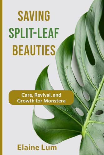 Saving Split-Leaf Beauties: Care, Revival, and Growth for Monsteras