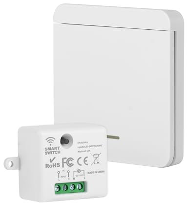 LAOYE Interruttore Senza Fili della Luce 433Mhz 220V Interruttore Wireless Interruttore Senza Fili per Luci Interruttori Wireless per Lampada Fino a 1500W (Controller Ricevitore 10A)