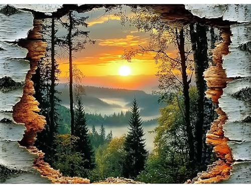 CEOVR Diamond Painting Bilder Kit Erwachsene,Landschaft 5D Diamond-painting 30x40cm,Diamant Art Set,Landschaft hinter Baumrinde