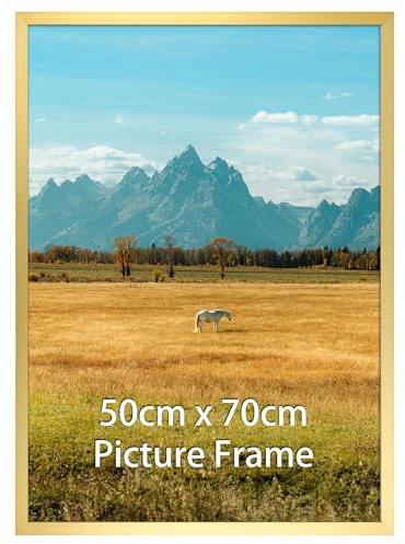 Vasemouh Bilderrahmen 50x70 cm, 1 Stück Bilderrahmen in Gold, geeignet für 70x50 cm Fotos, Poster und Kunstwerke, passend zur Wandmontage in Hoch- und Querformat