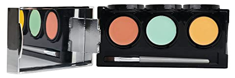 Dermaflage Color Correcting Palette, Color Corrector Concealer for Dark Circles, Redness, Bruises, Dark Spots, by Dermaflage 6.9g/.24oz